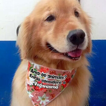 Bandana para pet "Ama os animais?"