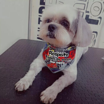 Bandana para pet "Respeite todos os seres"