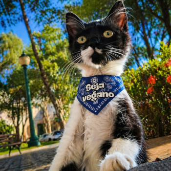 Mini Bandana com coleira "Seja vegano"