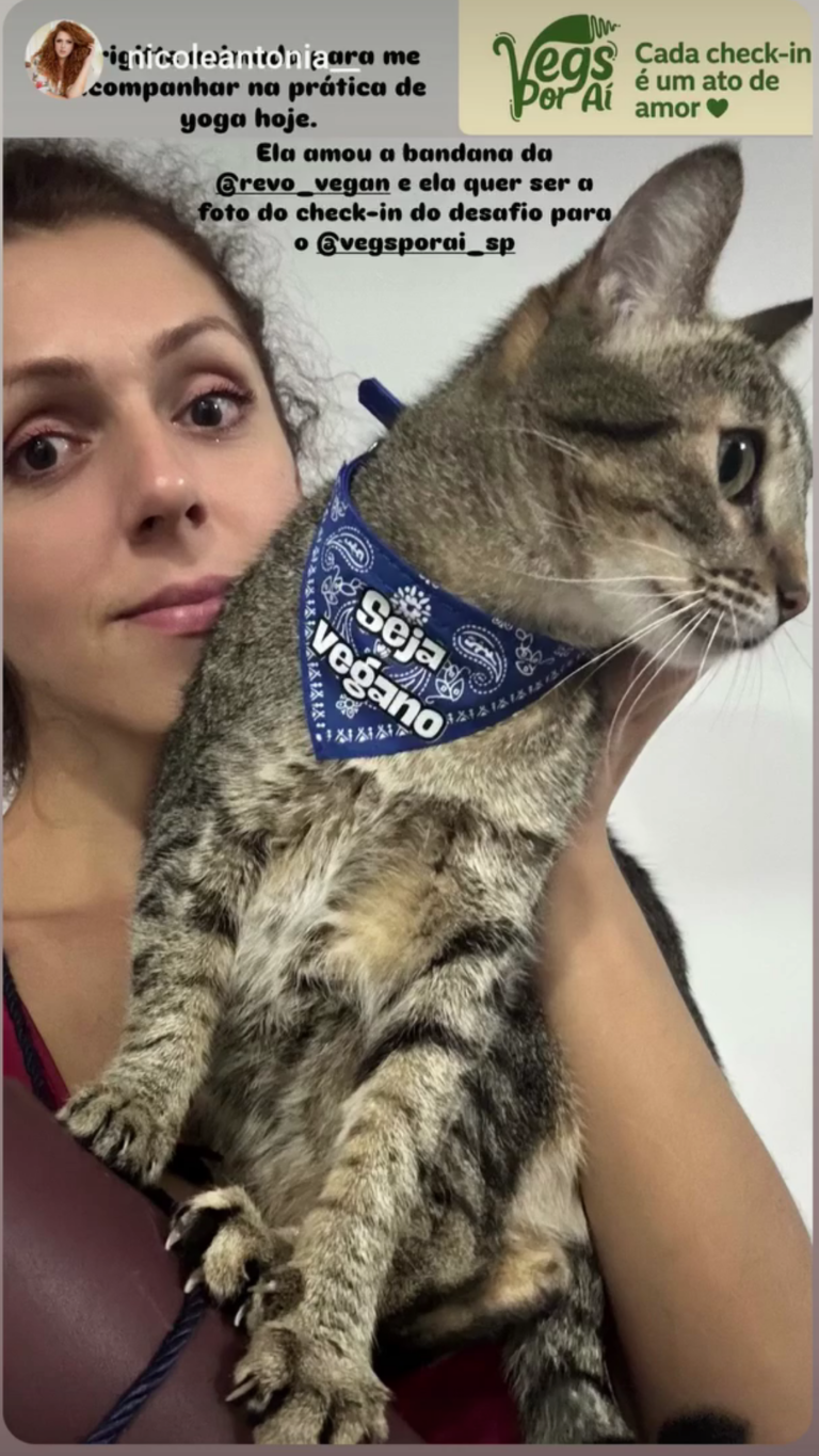 Feira vegana vegnice (1)