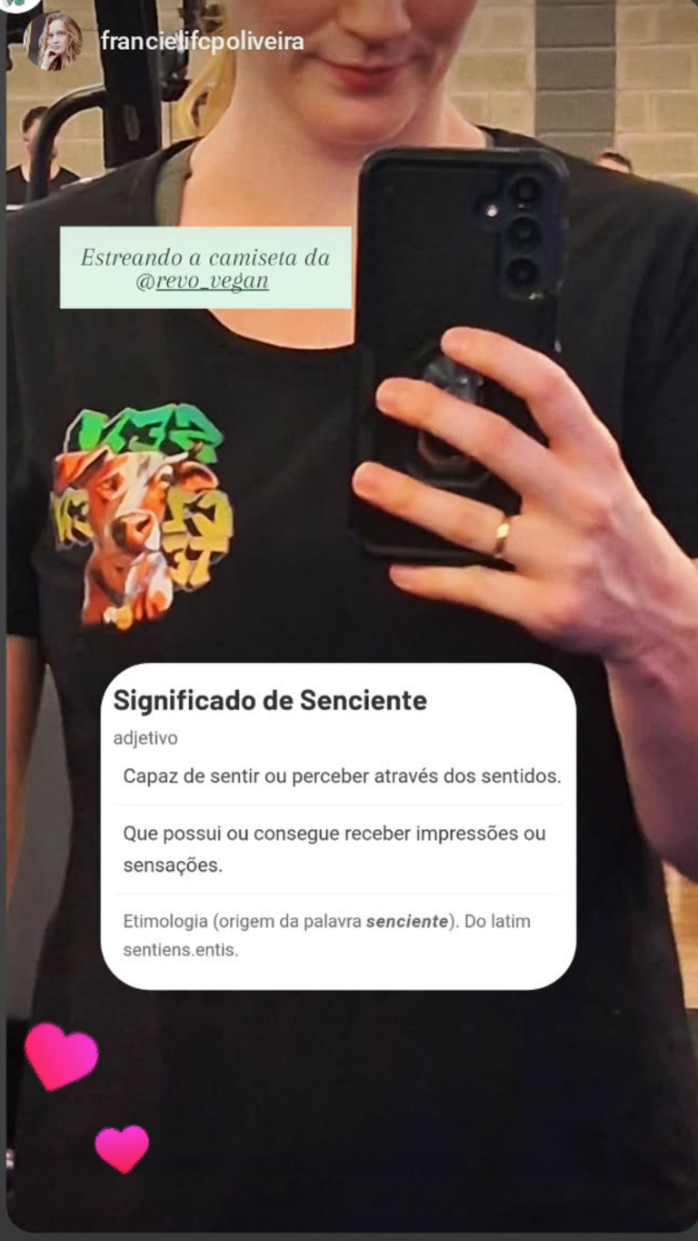 Feira vegana vegnice (2)